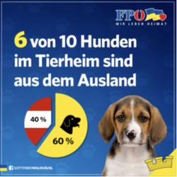 Screenshot: FPÖ/Facebook
