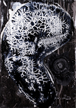 O.T., 2018

Mischtechnik auf Papier, 99,5 x 69,5 cm, gerahmt 
rückseitig signiert und datiert

AUSRUFPREIS: 1200.-
