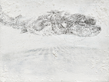 unnamed 9, 2022 

Öl, Bleistift und Druck auf Holz, 18 x 20 x 4 cm
signiert 

Ausrufpreis: 650,-