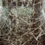 O.T. aus der Serie 'Aufhänger', 2014

Print, 60 x 60 cm, gerahmt
Auflage: 5, rückseitig signiert

AUSRUFPREIS: 480.-
