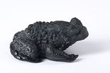 Bufo pictus, 2022 

Glasguss, ca. 12 x 9 x 5 cm
Unikat-Edition 44 + 6 AP, signiert, datiert, nummeriert 

Ausrufpreis: 550,-
